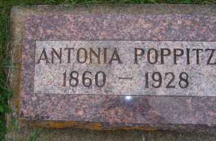 poppitz_antonia_headstone.jpg